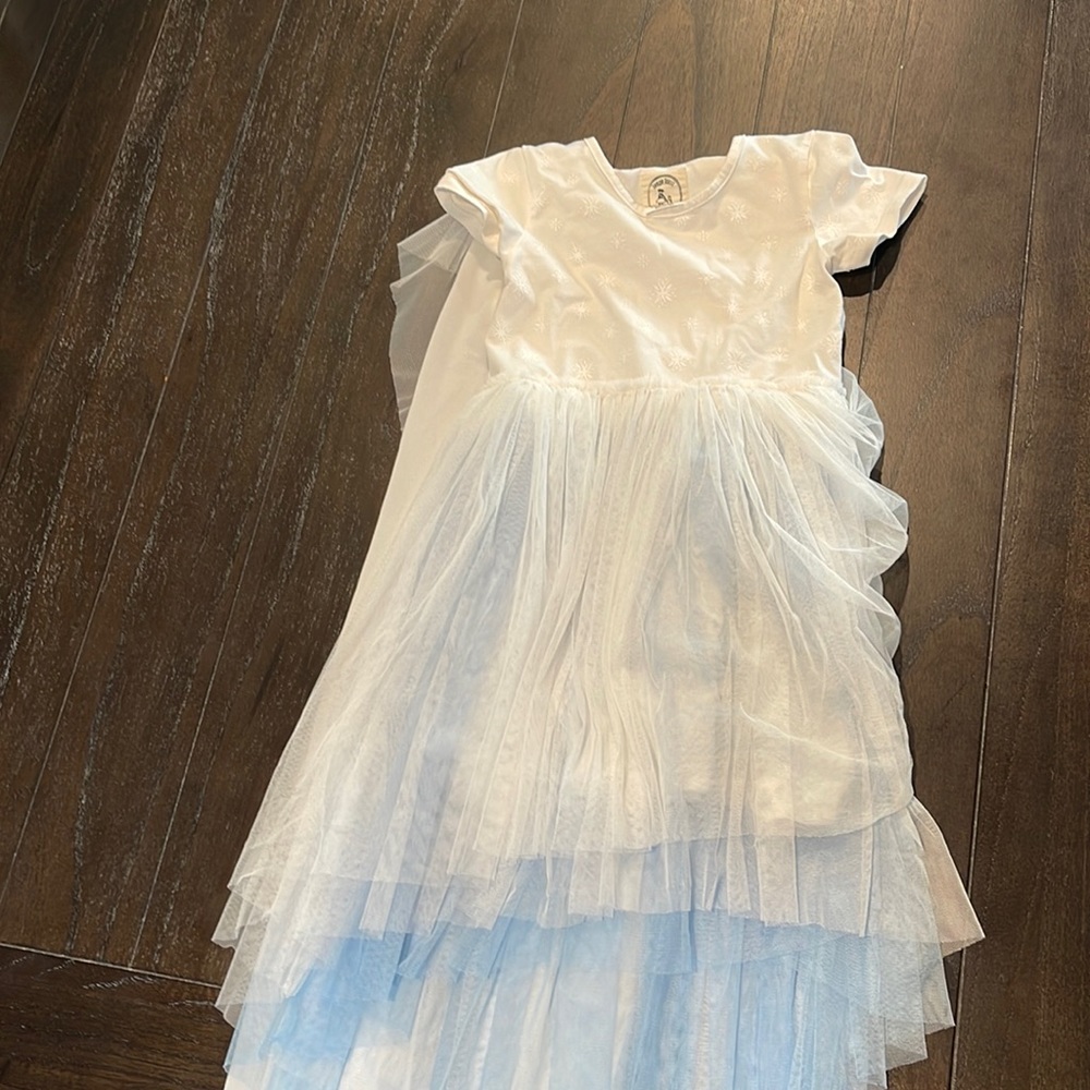 Taylor Joelle frozen dress
